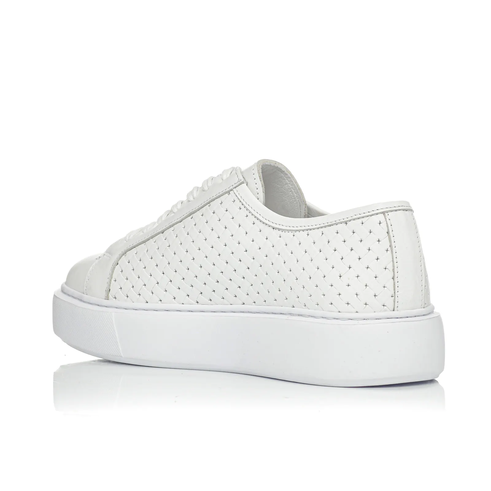 Sneaker Palms Ben Tailor