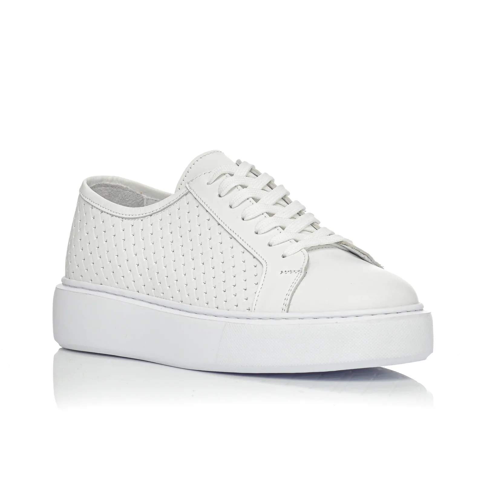 Sneaker Palms Ben Tailor