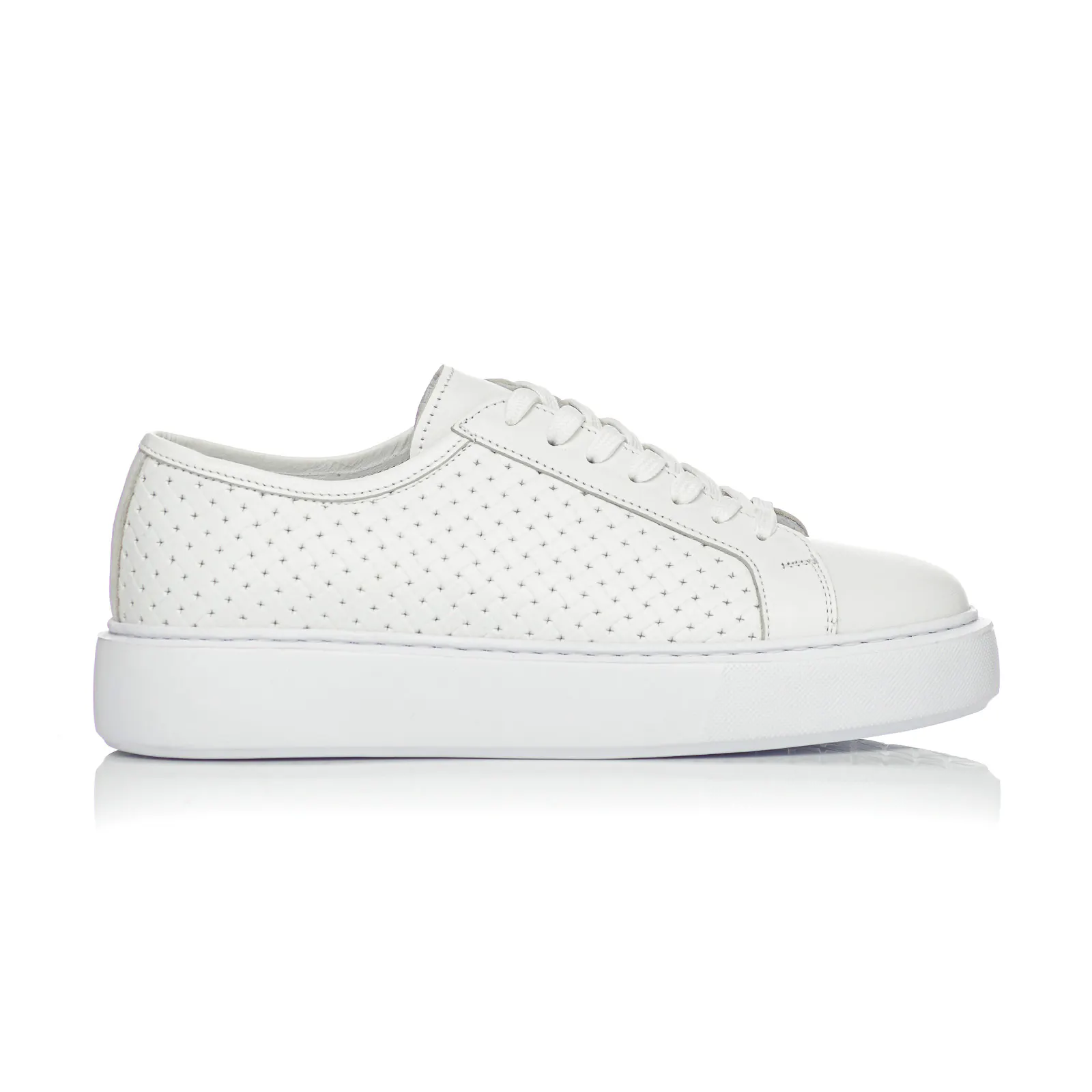 Sneaker Palms Ben Tailor